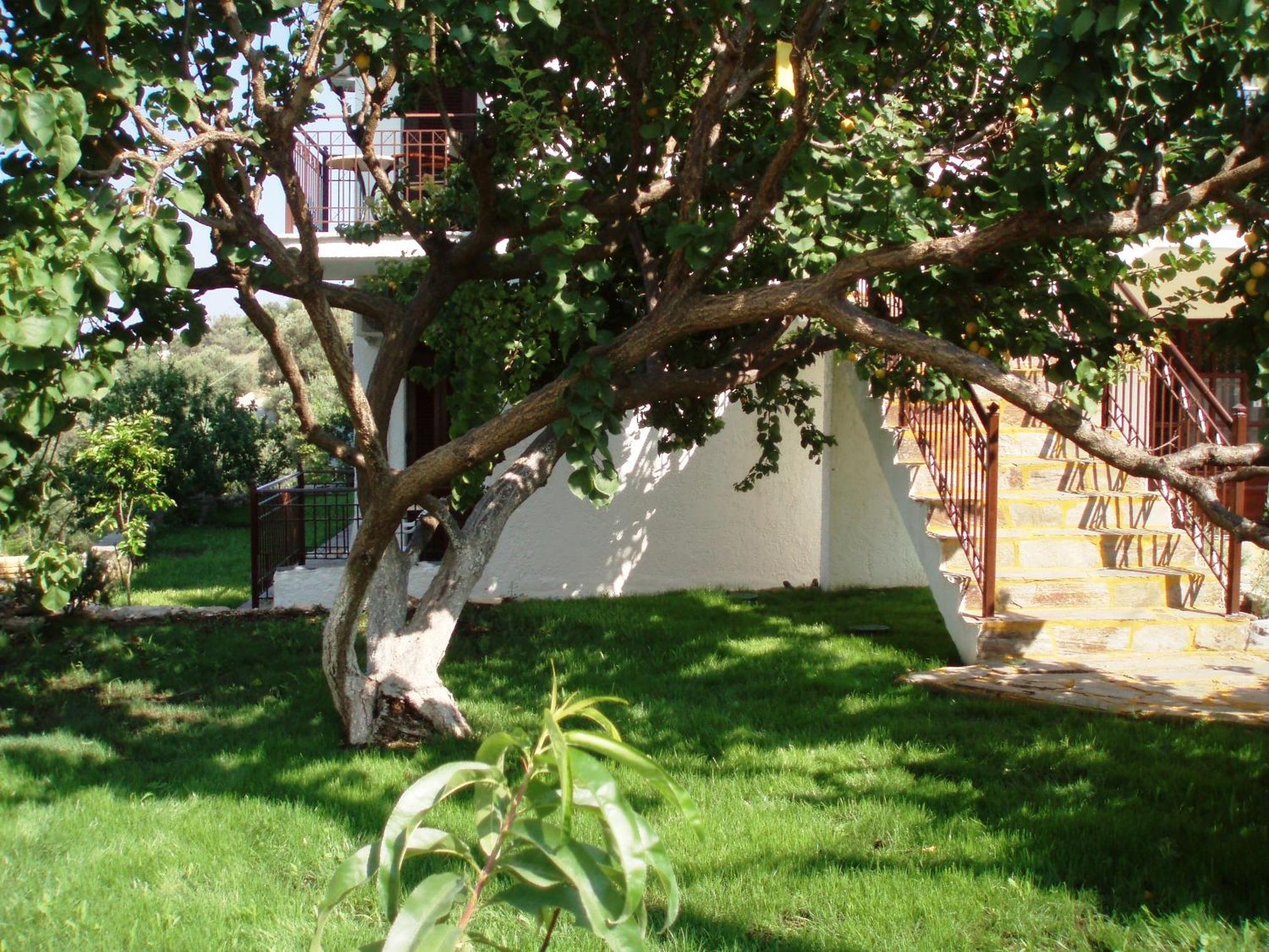 Scorpios Hotel&Suites Samos Town Exterior foto